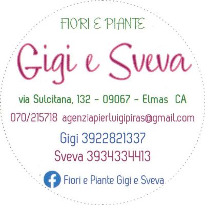 Fiori e Piante Gigi & Sveva